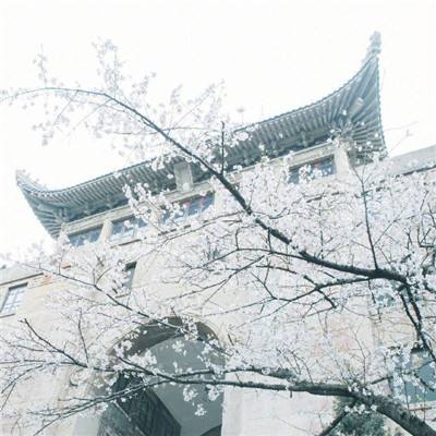 高考首日，广州这个考场外有“高粽”“状元”为考生助威