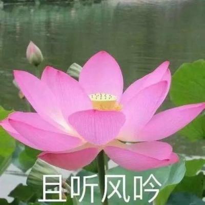 “中国万水千帆赛”在江西泰和启航 赣江...